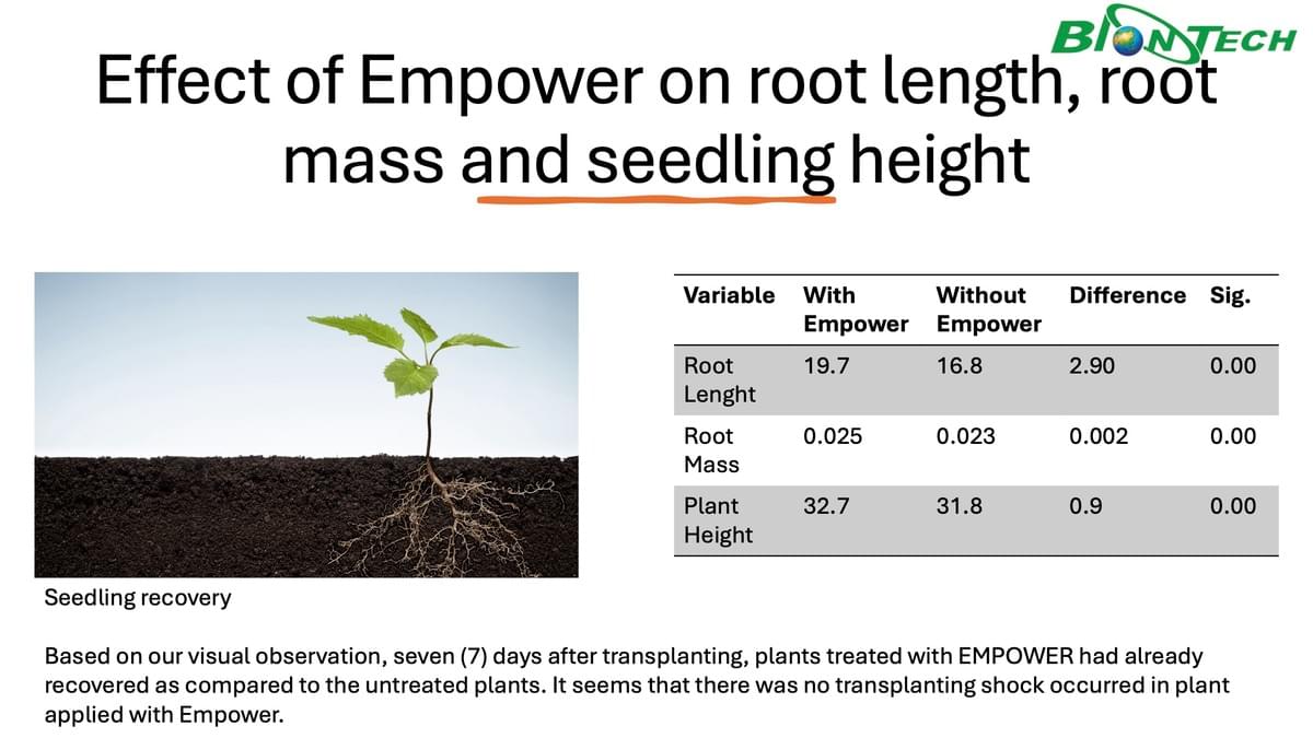EMPOWER 對根長、根重與秧苗高度的影響