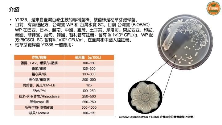 枯草芽孢桿菌 Y1336 文章圖片